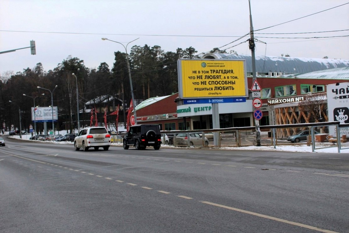 Fall In Love With Cat