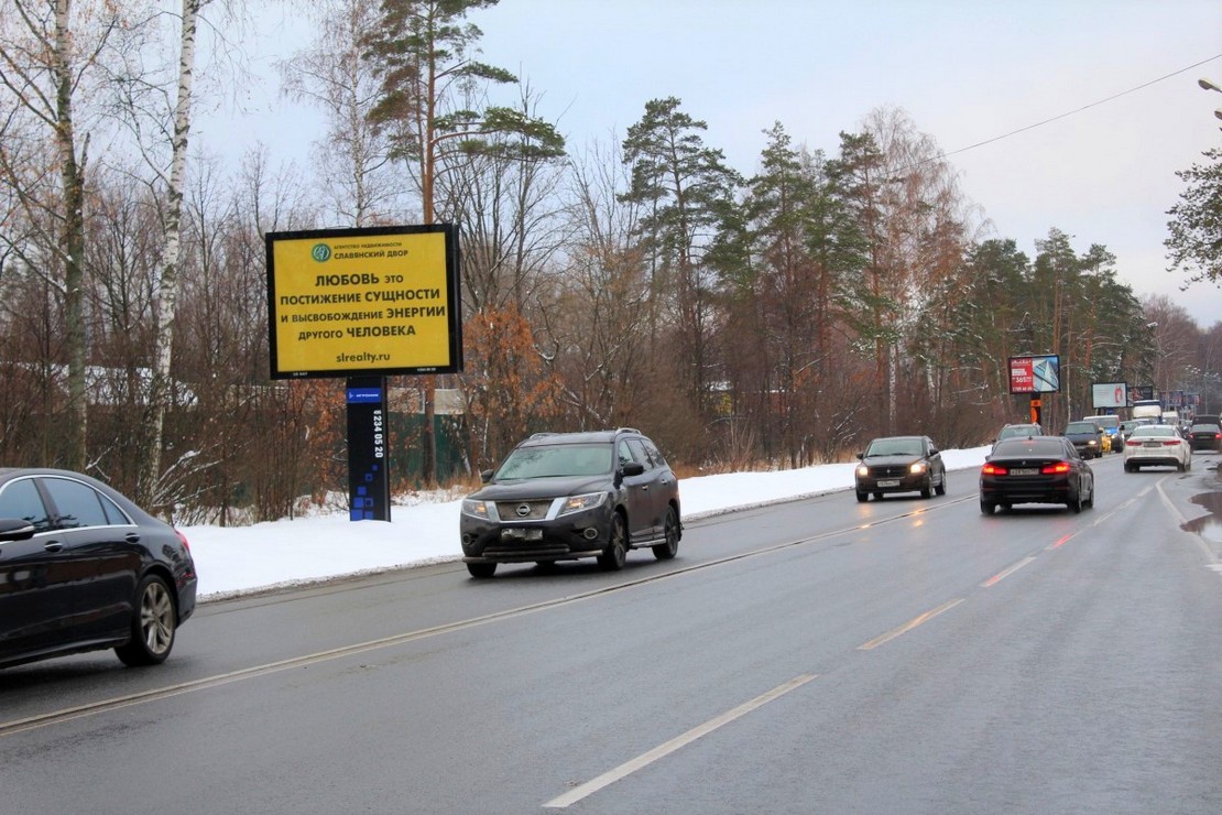 Fall In Love With Cat