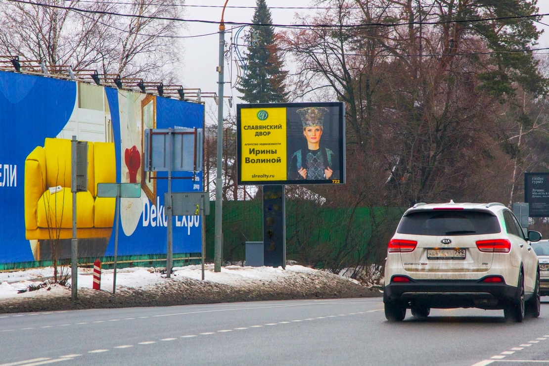 Fall In Love With Cat