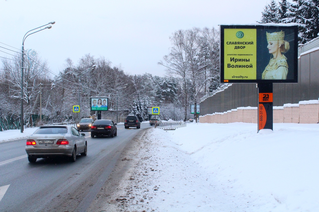 Fall In Love With Cat